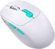 Mysz Defender Nitta MM-307 Wireless/Bluetooth White (4745090825459) - obraz 2