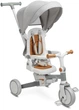 Триколісний велосипед Toyz Faro 3 в 1 Сірий (5908310397313) - зображення 1