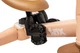 Rowerek trójkołowy Toyz Fox 4 w 1 Pomarańczowy (5903076322289) - obraz 12