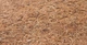 Матрац Sensillo Memory Теплоеластична піна-кокос Алое вера 120x60x12 см (5902021524167) - зображення 6