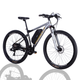 Велосипед з електроприводом 29" AL Formula eF-1 DD CS рама-21" / 18,5" 48B 17.5А*ч 500Вт сріблясто-чорний - зображення 1