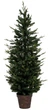 Choinka sztuczna Feeric Lights & Christmas w cementowej doniczce 150 cm (3560232829116) - obraz 1