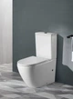 Унітаз-компакт підлоговий заокруглений білий Mixxus Premium Ellipse MP6467 (00150313) - изображение 3