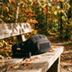 Сумка поясна MFH Tactical, Black - зображення 6