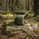 Сумка на стегно MIL-TEC Multi Pack, Olive - зображення 5