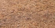 Матрац Sensillo Кокос K-06 120x60x6 см (5902021527816) - зображення 5