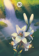 Карти Оракул Трави та рослини Ленорман - Herbs & Plants Lenormand Oracle Cards - зображення 5