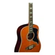 Електроакустична гітара Eko Guitars RANGERVR12-EQ-NAT Ranger XII VR EQ (Natural Top Stained) - изображение 3