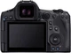 Беззеркальный Canon EOS R5 + RF 24-105 f/4.0 L IS (4147C069) - изображение 3