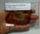Натуральный ирис агат срез 182.70 Ct 97 x 65 x 2.9 mm (93261) - изображение 7