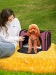 Сумка переноска для кошек и собак 42x28x28 см CosmoPet CP-47 Magenta - изображение 7