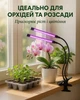 Светодиодная LED фитолампа с прищепкой, тремя режимами работы и таймером для растений полного спектра светильник для фотосинтеза комнатных растений, орхидей и рассады - изображение 4