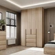 Шкаф распашной комбинированый №1 Light с антресолью 1600x500x2600 Дуб Сонома (GAA2LTK0113000000) - изображение 1