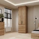 Шкаф распашной №2 Light с антресолью 800x500x2600 Дуб Эвок (GAA2LT12100000000) - изображение 1