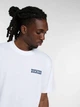 Футболка бавовняна довга чоловіча Dickies Plain City Ss DK0A88JI0WH1 M Біла (800070354616) - зображення 4