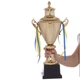 Кубок наградной с ручками приз спортивный SP-Sport Fairy 108A высота 55см Gold - зображення 4