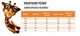 Костюм для девочки летний Bosskids (2298ол) Рост 128 см Оливковый - изображение 5