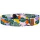Фітнес-гумка Spokey HOME JUNGLE light (опір 20 кг) - зображення 3