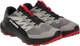 Кросівки Salomon ALPHAGLIDE 40 (6.5 UK) (25 см) Cloudburstblack/Fieryred - зображення 1