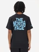 Koszulka bawełniana długa męska The North Face M Drip NF0A8GABJK31 S Czarna (800070354851) - obraz 2
