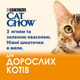 Вологий корм для котів Cat Chow Adult з ягнятком та зеленою квасолею 85 г 12531479 - зображення 3