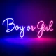 Светодиодная (LED) неоновая вывеска "Boy or Girl", от сети, сине-розовая, 50*20 см (9318-009) - изображение 2