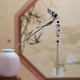 Заколка, паличка Анна Ясеницька "Stork for happiness" срібляста, 17 см - зображення 1
