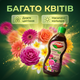 Удобрение органическое "Stimul Natural" 310мл жидкое для балконных и комнатных декоративно-цветущих растений - изображение 6