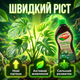 Удобрение органическое "Stimul Natural" 310мл жидкое для балконных и комнатных декоративно-лиственных растений - изображение 6