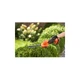 Кущоріз Black&Decker 18 В, 2Ah, насадки — 20 см/8 мм, 10 см/18 мм, (BCSS18D1) - изображение 8