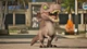 Ключ активации Funko Fusion and Jurassic World Rebirth DLC для Xbox Series S/X - изображение 11