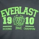 Мужская спортивная майка everlast серая размер s - изображение 2