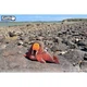 Збірна 3D модель Eugy Зоопарк Морж (XEG-107) - зображення 10