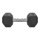 Гантель шестигранний Eleiko XF 10 кг - зображення 1