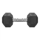 Гантель шестигранний Eleiko XF 9 кг - зображення 1