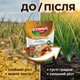 Удобрение кристаллическое Stimul NPK 200г универсальное минеральное корневое для лука чеснока и пряных трав - изображение 5
