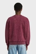 Жіночий бордовий світшот Washed G-Star RAW S D27173, D969 - зображення 3
