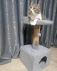 Дряпка когтеточка домик для котика Алабама Oppa_Styopa - изображение 2