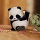 Zabawka-niespodzianka Pop Top 52 Toys Panda Roll Miau Pandy (6958985023146) - obraz 4