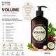 Шампунь для об’єму Dr. Sorbie Volume Shampoo 400 мл антихлорний фітошампунь для тонкого волосся - зображення 2