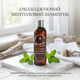 Шампунь для волосся Morgan's Cooling Menthol Men's Shampoo 250 мл. (М339) - изображение 2