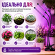 Ультрафіолетова фітолампа для рослин LED лампа, 3 голови, повний спектр, USB лампа для кімнатних рослин розсади квітів 30 Вт - зображення 4
