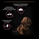 Сухий корм для цуценят дрібних порід із чутливою шкірою Purina Pro Plan Small & Mini Puppy Sensitive з лососем 3 кг 12272619 - зображення 5