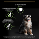 Сухий корм для щенят Purina Pro Plan Dog Medium Puppy з високим вмістом курки 12 кг 12375807 - зображення 5
