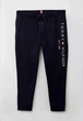 Чоловічі спортивні штани Tommy Hilfiger темно-сині, розмір 3XL (великі розміри) - зображення 1