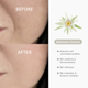 Крем для лица антивозрастной экстракт Эдельвейса DR. ALTHEA Rapid Firm Sculpting Cream, 45мл - изображение 3