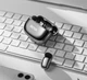 Петличный микрофон 2 шт BOYA mini 2 Lunar (USB Type-C) 2026 для iPhone с зарядным кейсом, беспроводной (77750071) - изображение 9