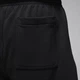 Шорты мужские Jordan M J Ess Flc Hbr 9" Short Lb M Чорний FV7309-010 - изображение 6