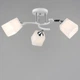 Люстра потолочная Light House SR-20518/3 WT+CR D620*H220 белая + хром, плафоны белые - изображение 1