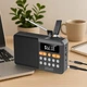 Радіоприймач Zenwire YSF-005BT Black (5904507521530) - зображення 10
